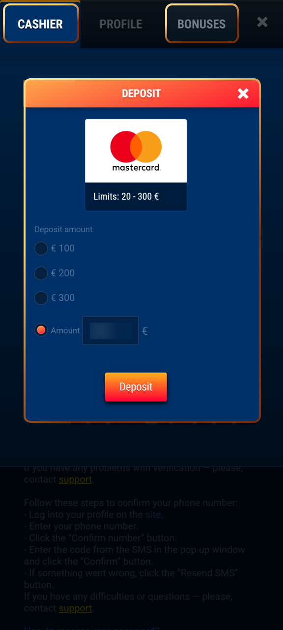 Enter your promotional bonus code in the WG casino cashier.