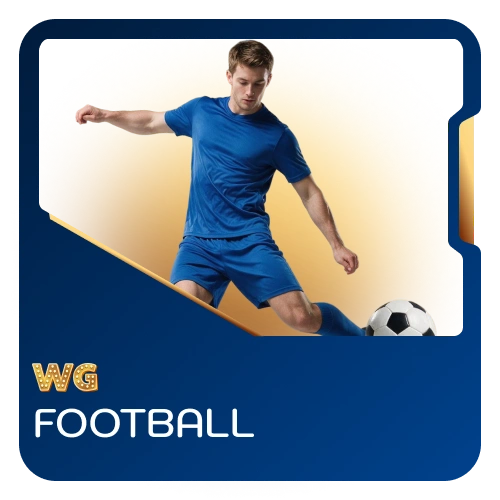 Bet on major football matches and leagues on WG casino.