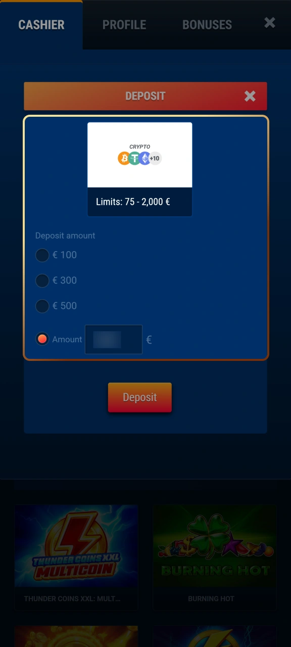 Specify your deposit amount and payment details on WG casino.